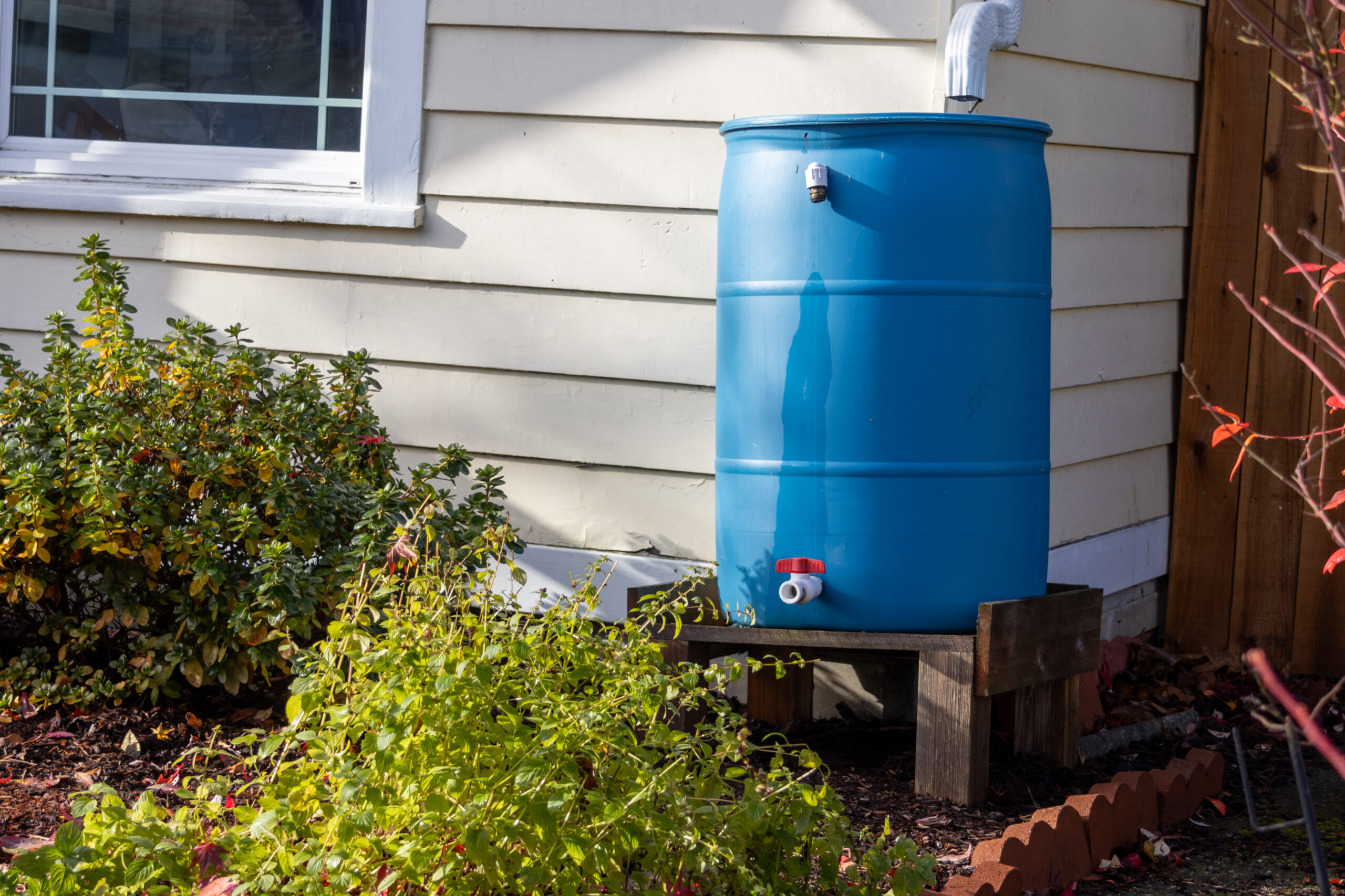 Greywater Recycling