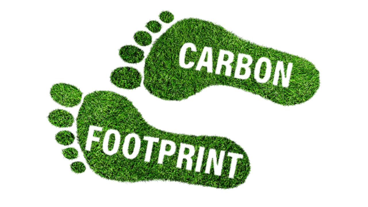 The Carbon Footprint