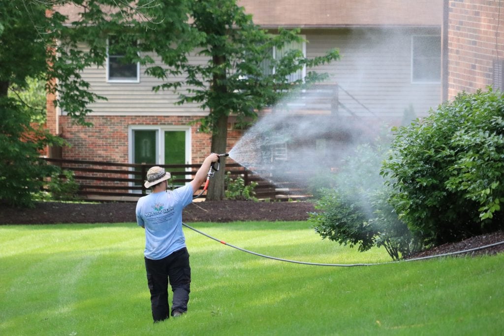 Power Washing Damage Landscaping
