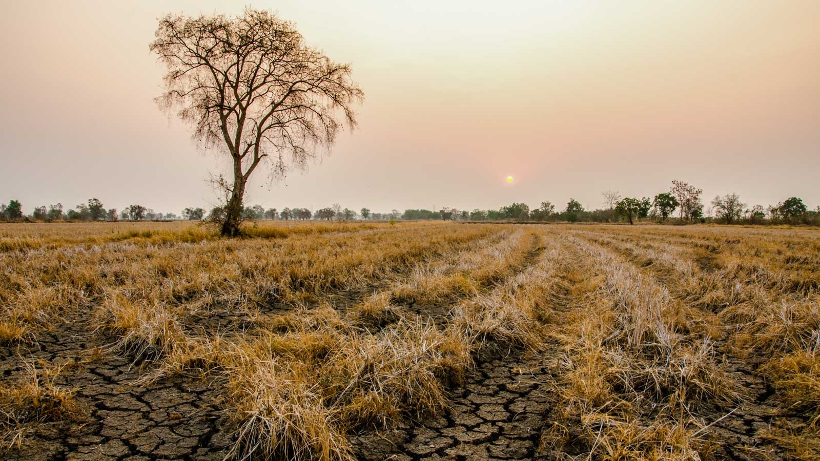Power Washing in Drought-Prone Regions