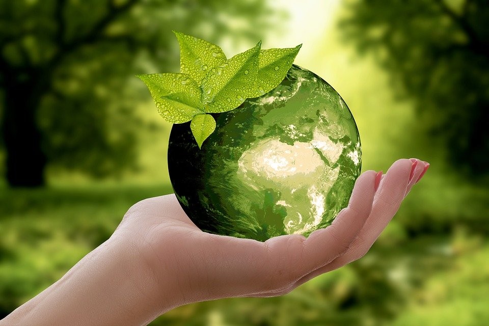 Eco-Friendly Power Washing Practices