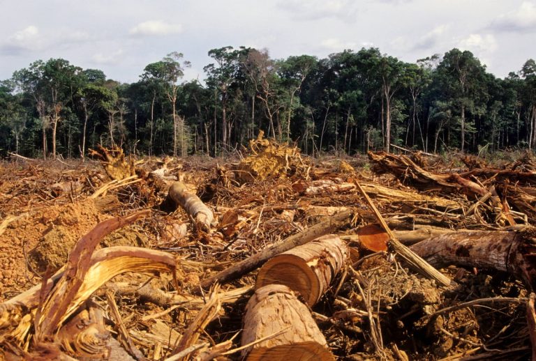 Long-Term Environmental Impact