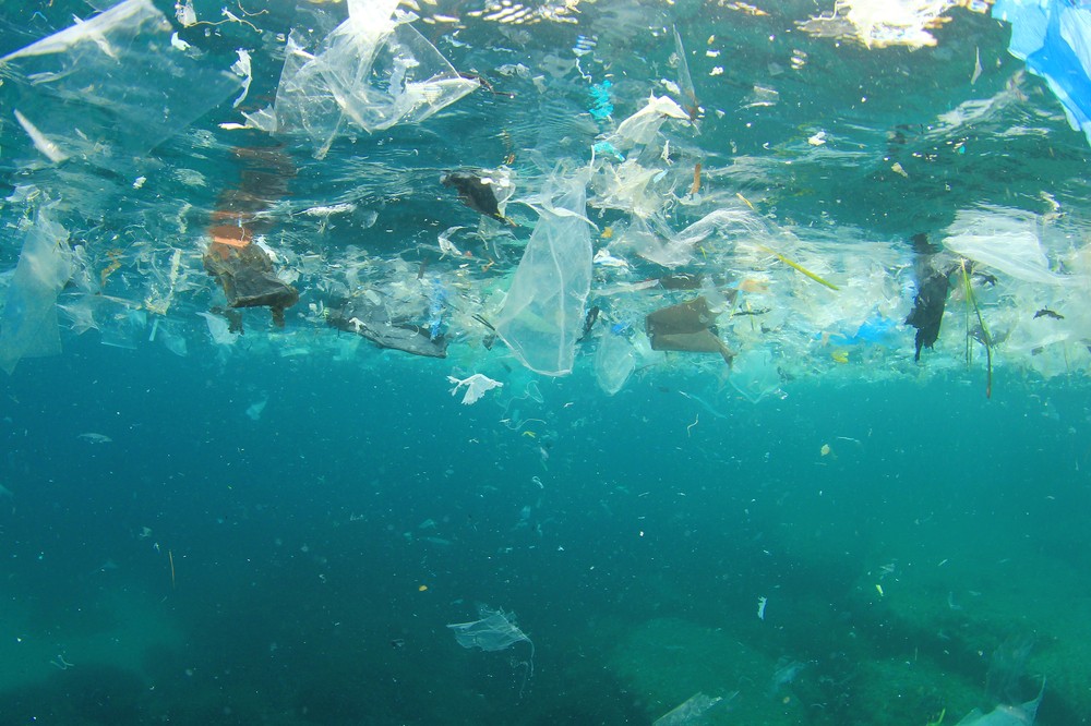 Microplastic Spread