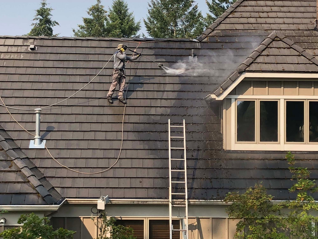 Pressure Washing Roofs